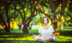 开云官网-双线征服，雄鹿的东方碾压与浓眉的西部王座—论篮球世界里两种不同的统治