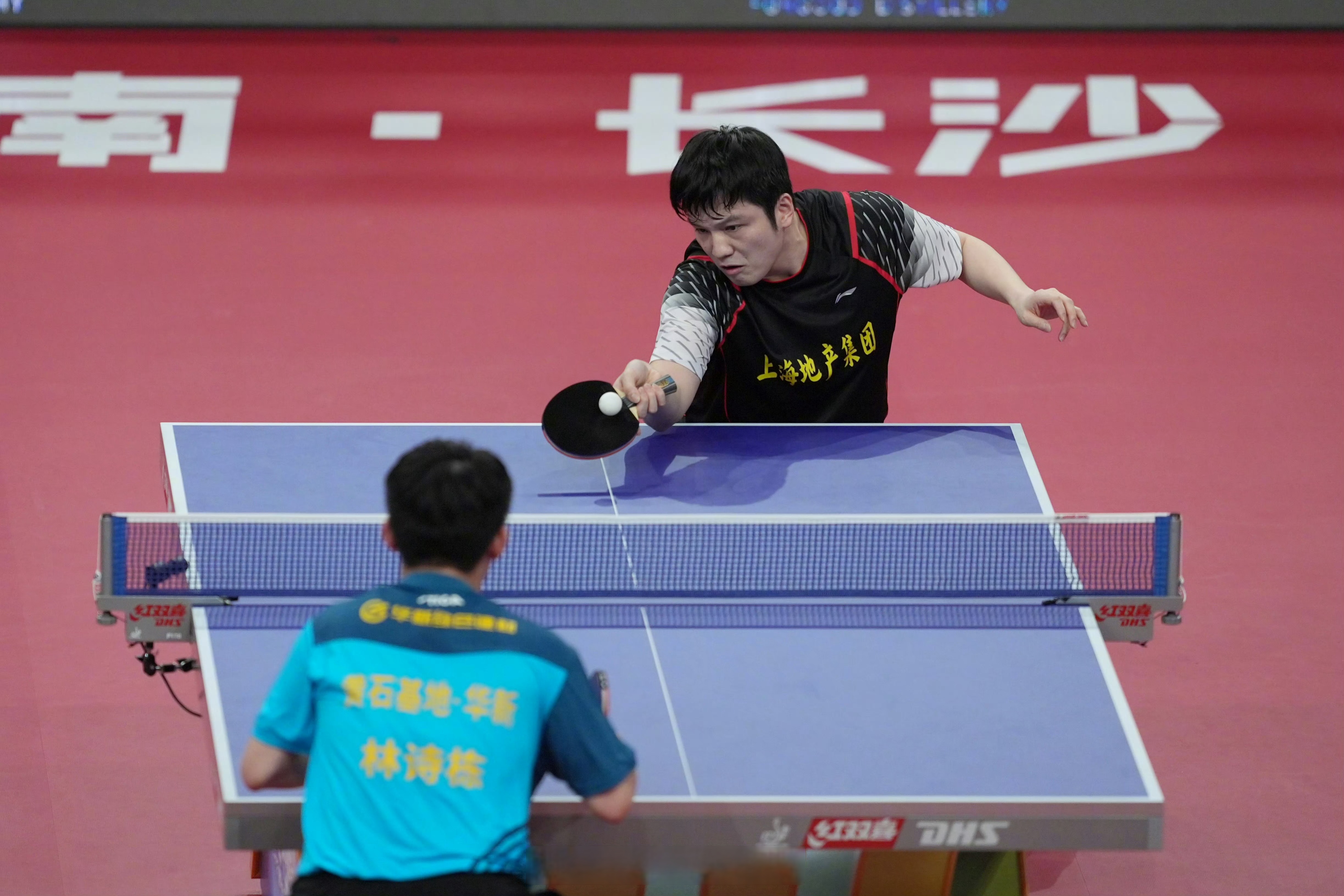瑞典乒乓球队血洗韩国乒乓球队，樊振东统治全场的简单介绍