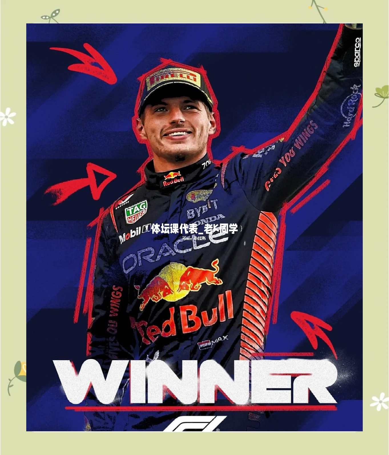 威廉姆斯险胜索伯车队，维斯塔潘关键制胜的简单介绍