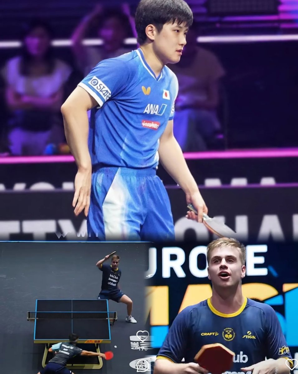 奥地利乒乓球队强势比利时乒乓球队，张本智和统治全场的简单介绍