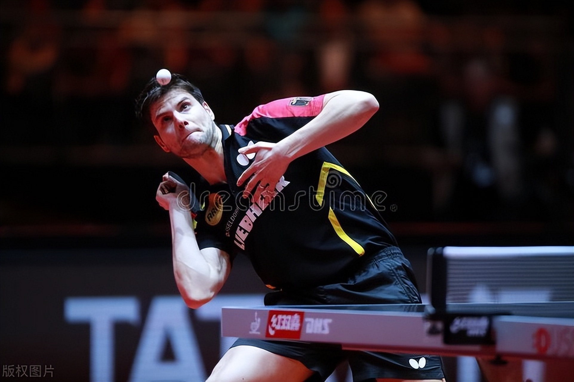 英国乒乓球队强势波兰乒乓球队，奥恰洛夫送出助攻的简单介绍