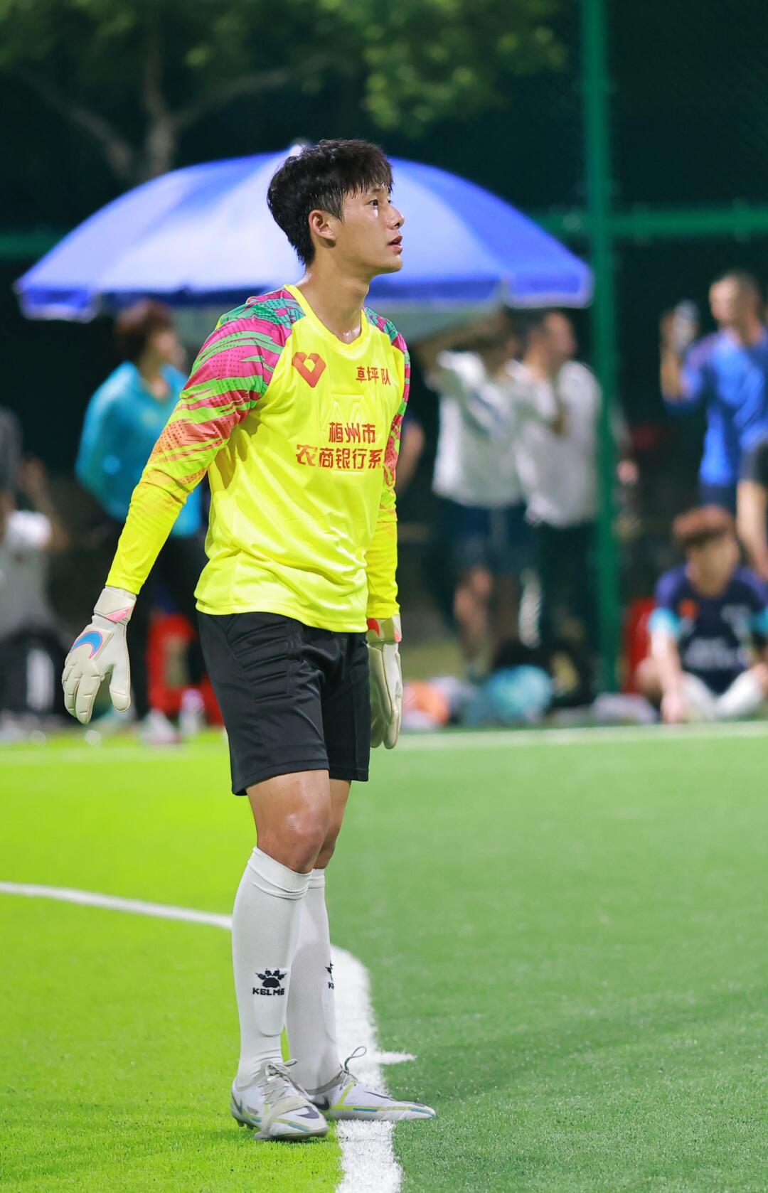 包含新赛季形势一片大好，球员备战积极向上的词条