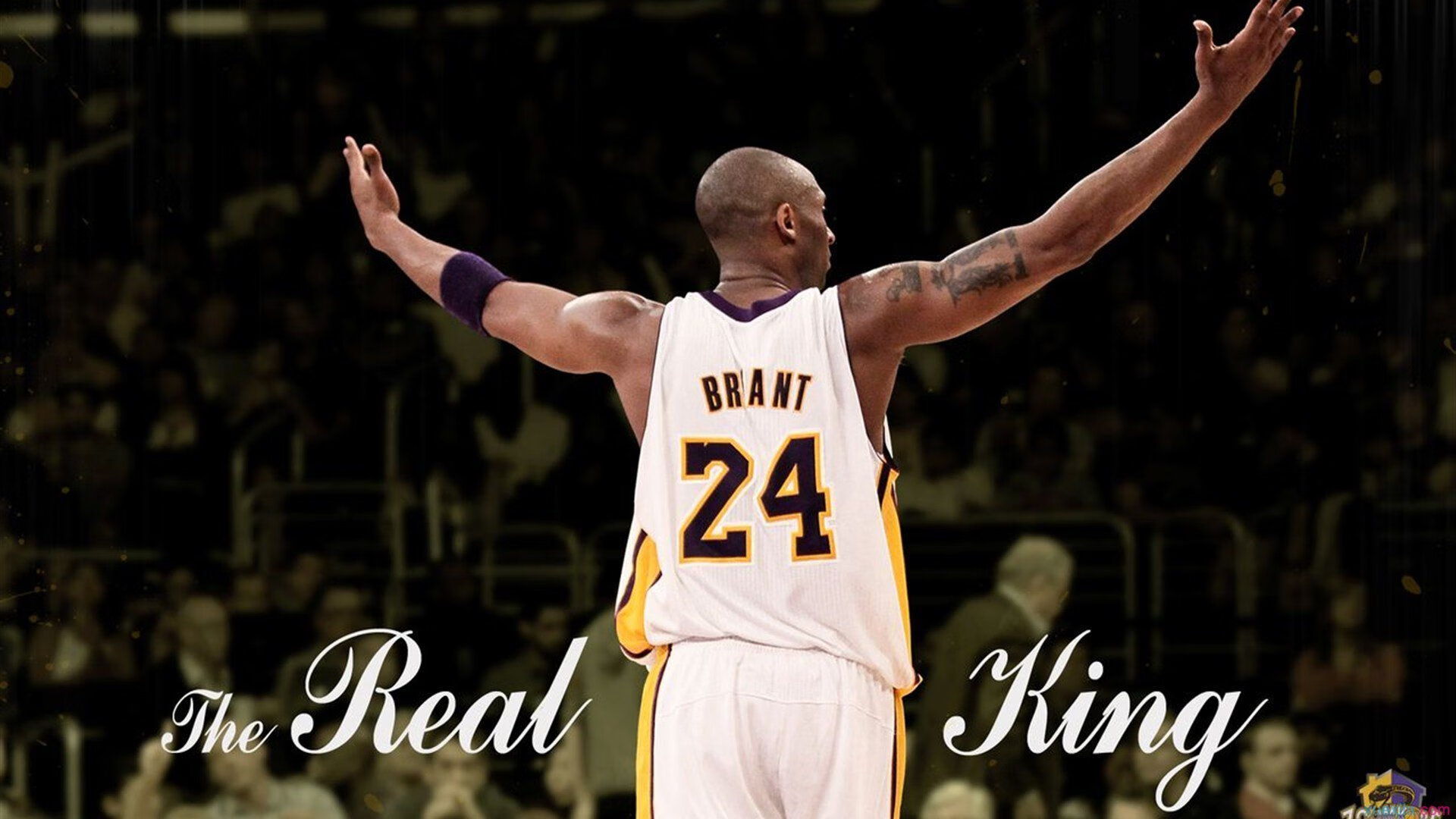 伊布一锤定音,美国队险胜南非改写历史