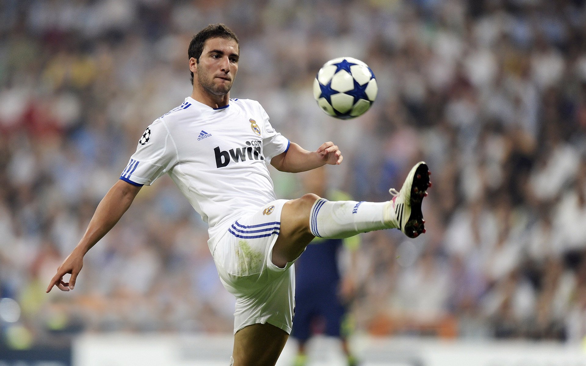 哈斯奇迹夜，皮亚斯特里刷新纪录率队横扫阿斯顿马丁